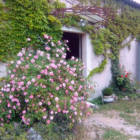 Le Domaine De Belle Bed & Breakfast L'Isle-sur-la-Sorgue Exterior photo