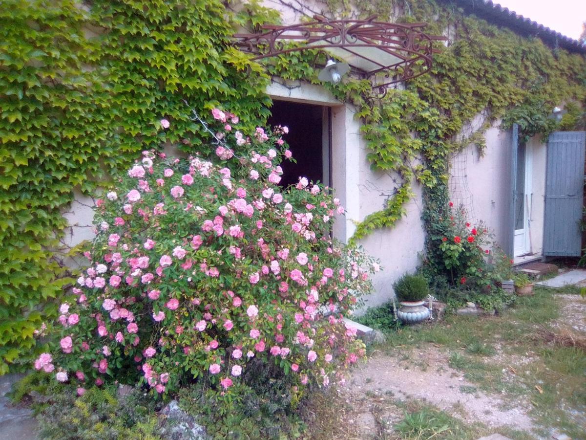 Le Domaine De Belle Bed & Breakfast L'Isle-sur-la-Sorgue Exterior photo